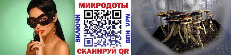 Галлюциногенные грибы Magic Shrooms  дарнет шоп  Буйнакск 